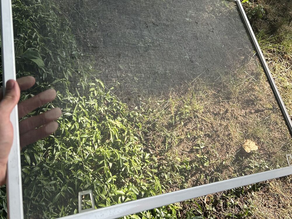 The same window screen after cleaning, with the foliage behind it sharp and clear