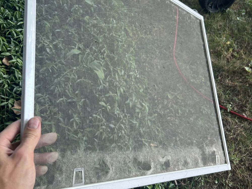 A window screen clouded with a hazy film that mutes everything behind it